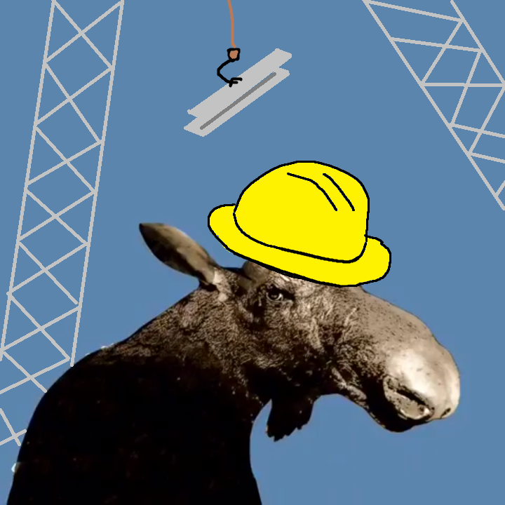 A builder moose